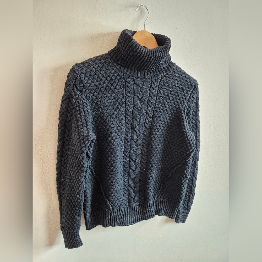 100% Cotton Cableknit Turtleneck Sweater By Alison Sheri Black